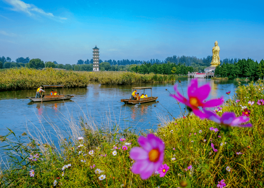 蔷薇花信61发现②丨走进美丽盐城大纵湖国家湿地公园