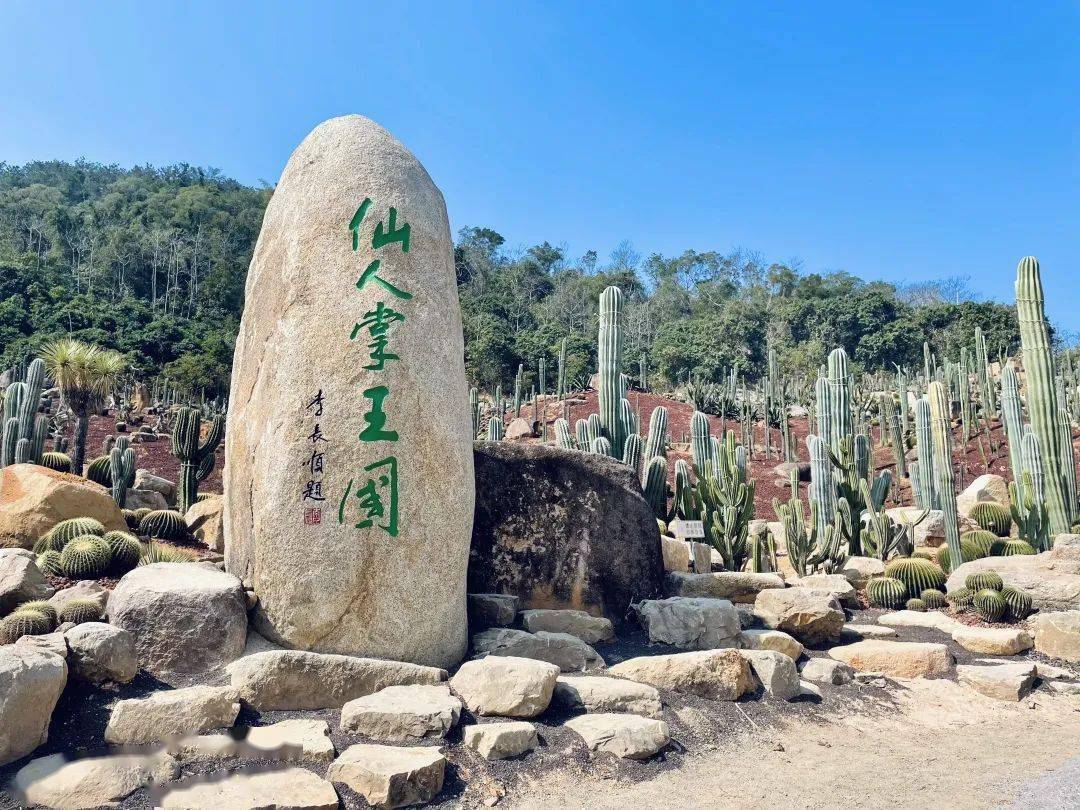 特价108元【5月1日/4日发团】探访蜗牛村,仙人掌