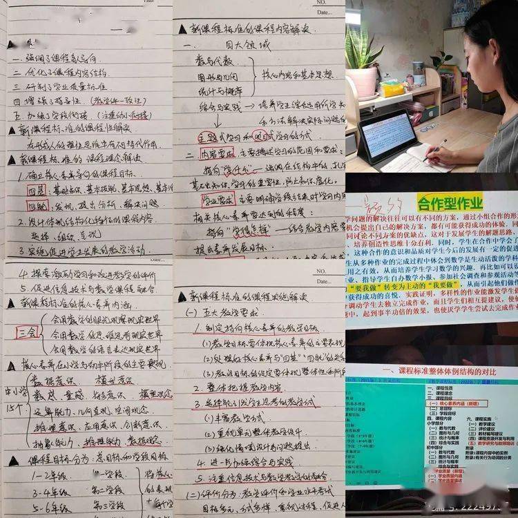 学习新课标,践行新理念,提升新境界——贺进镇沙洺中心小学