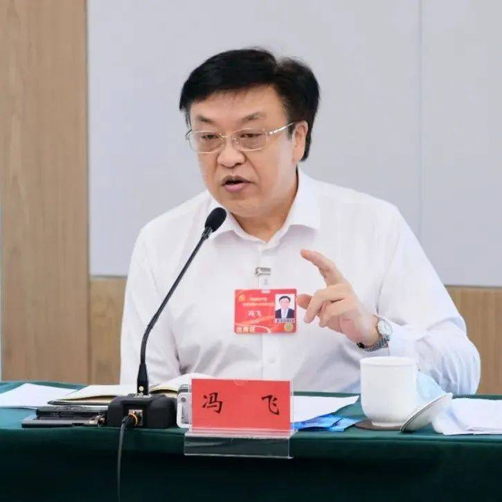 冯飞参加省第八次党代会分组审议_发展_海南_代表团