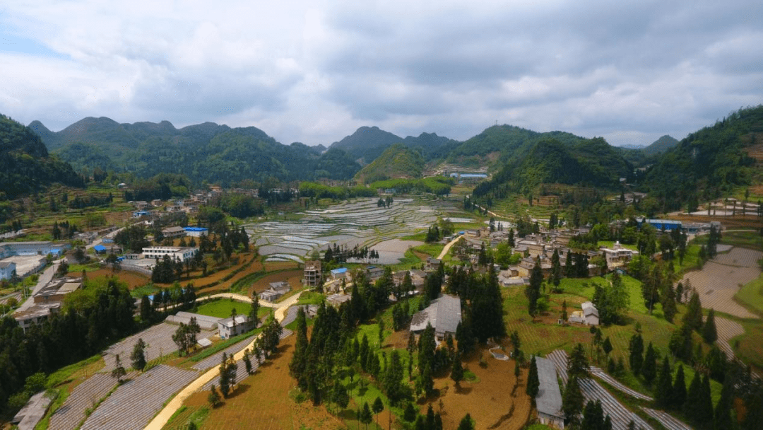 四新四化进行时织金县熊家场镇产业增收辣起来老百姓日子火起来