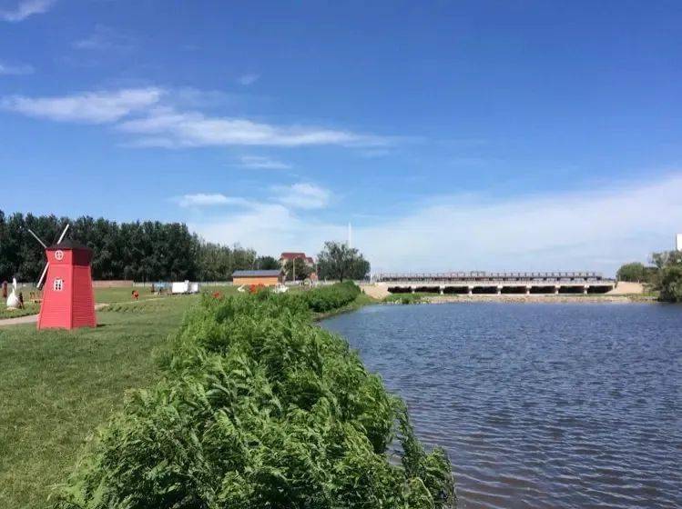 最新武清北运河改造图片