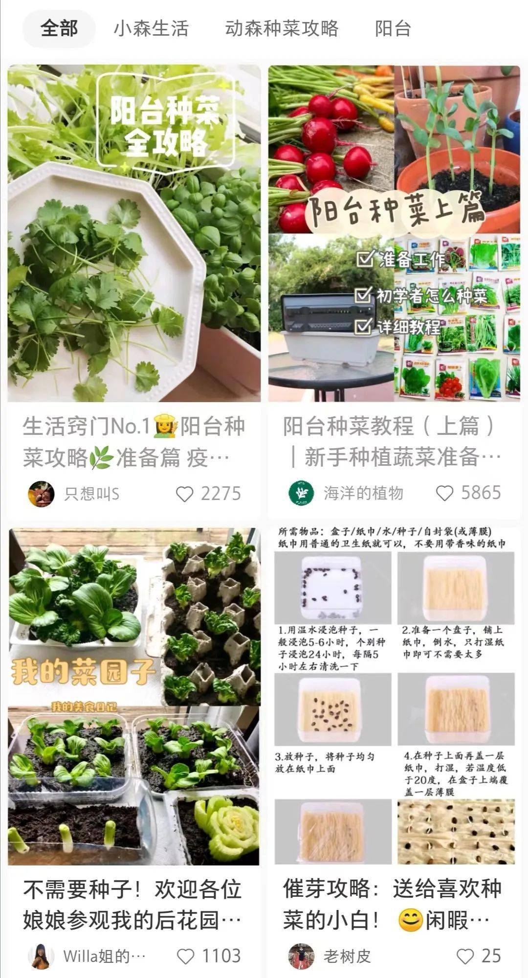 阳台种菜火炎焱燚了