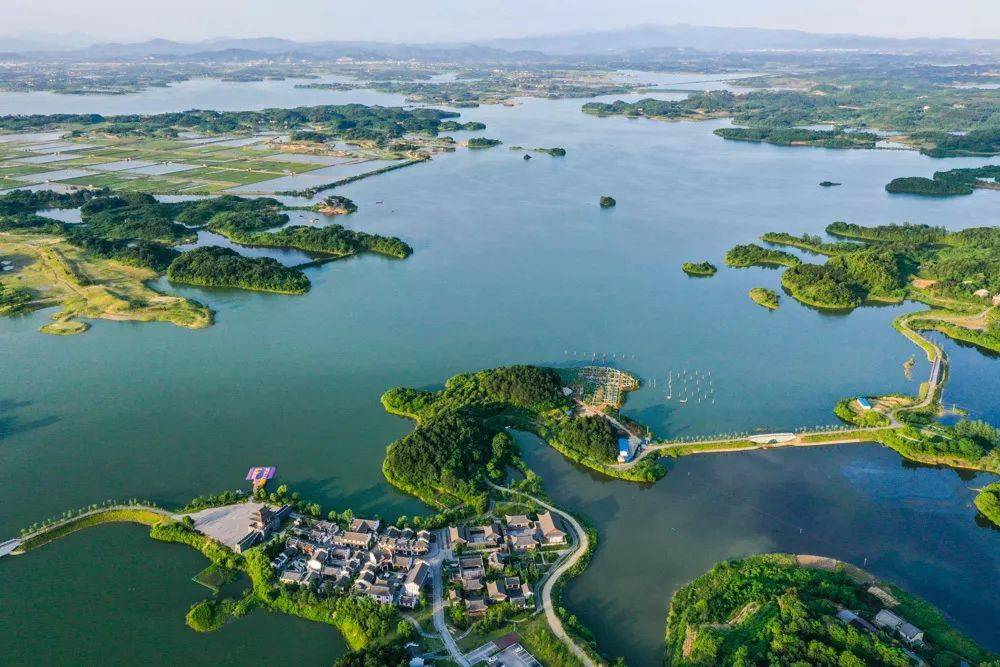 来《本草纲目》诞生地,不跳操也能当"刘畊宏女孩"_蕲春县_医圣李时珍