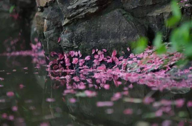 杏花烟雨醉江南