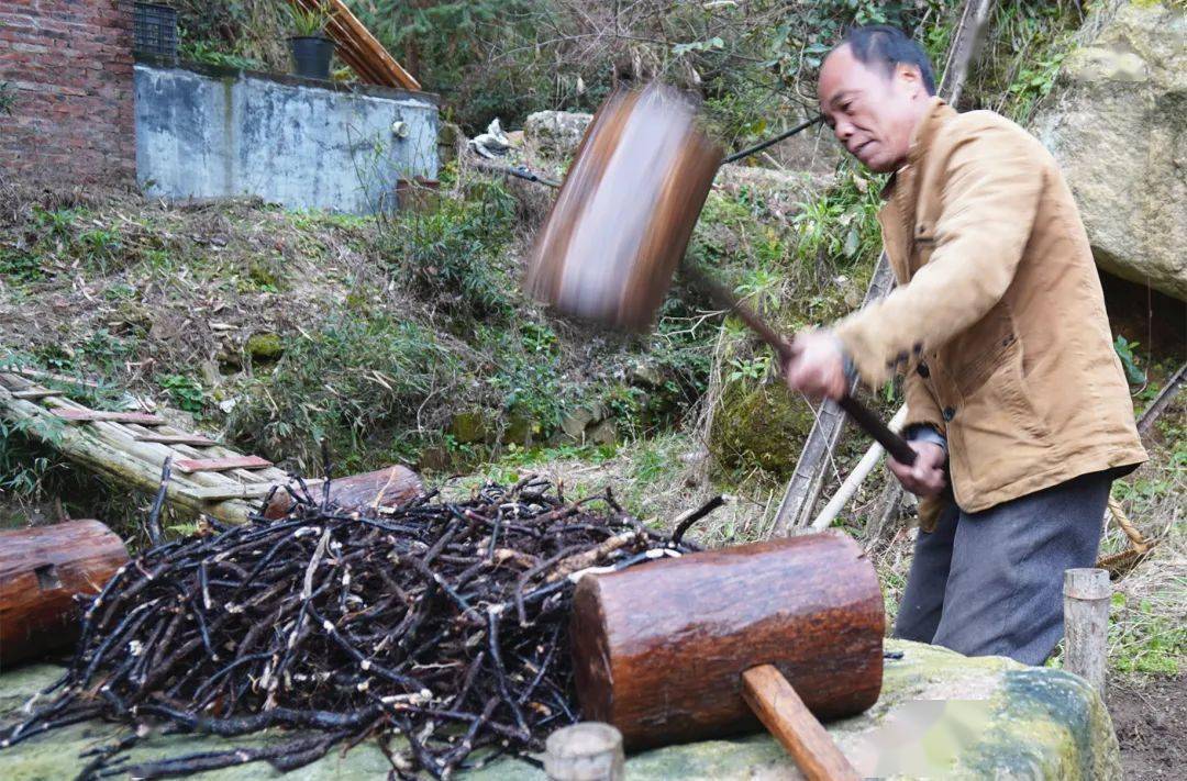 莽山蕨根糍粑,来自大山深处的美味,你吃过吗?