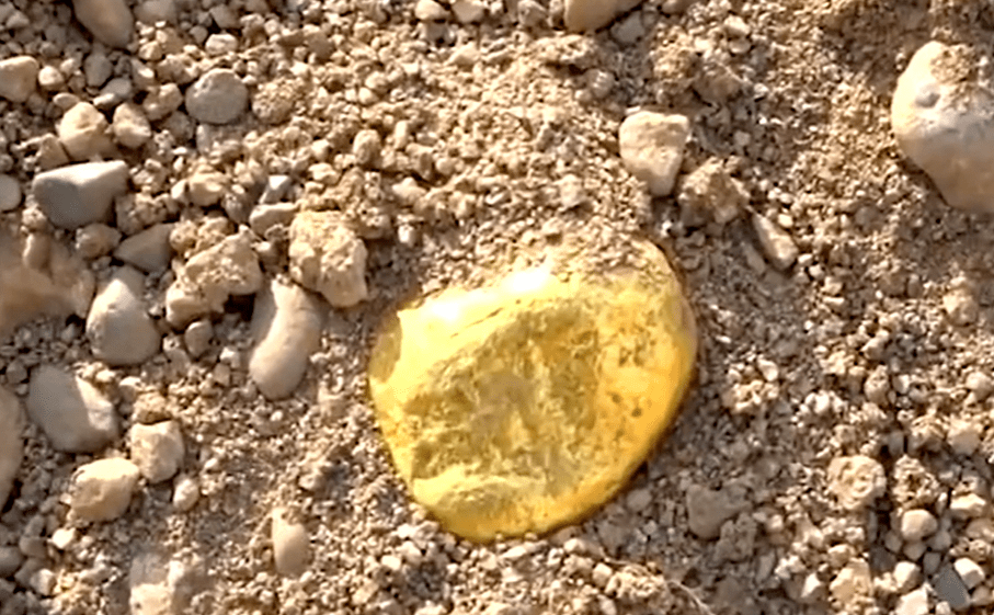 捡到的黄金应该归国家吗牧民捡到157斤狗头金有人出价300万