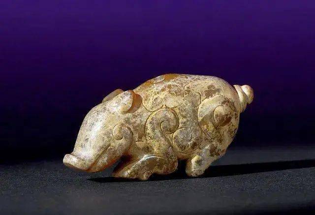 春光灿烂小玉猪