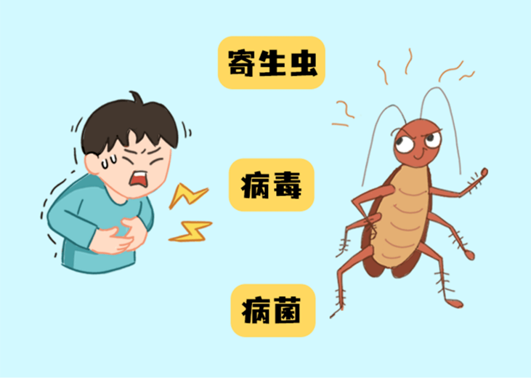 【爱国卫生】学会这四招,一次杀蟑so easy_蟑螂_缝隙_食物