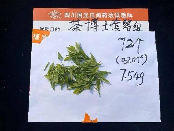 国光茶博士套餐最懂茶树的生长搭档