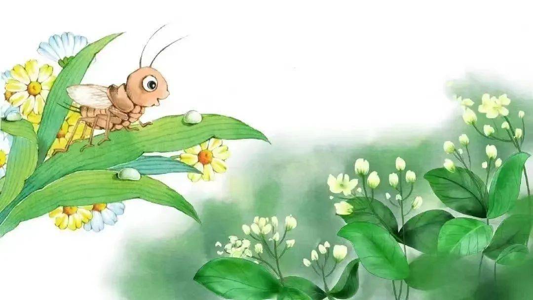 莲语我是一只小虫子朗读者林玲玲
