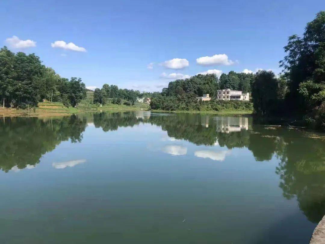 沐爱镇石林村近万尾鱼苗下湖_筠连县_詹小芹_演练