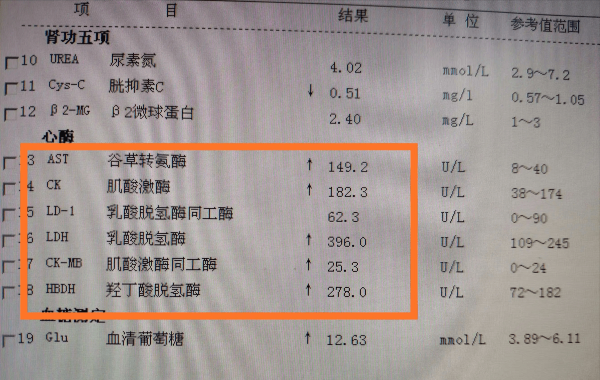 心肌酶报告单图片图片