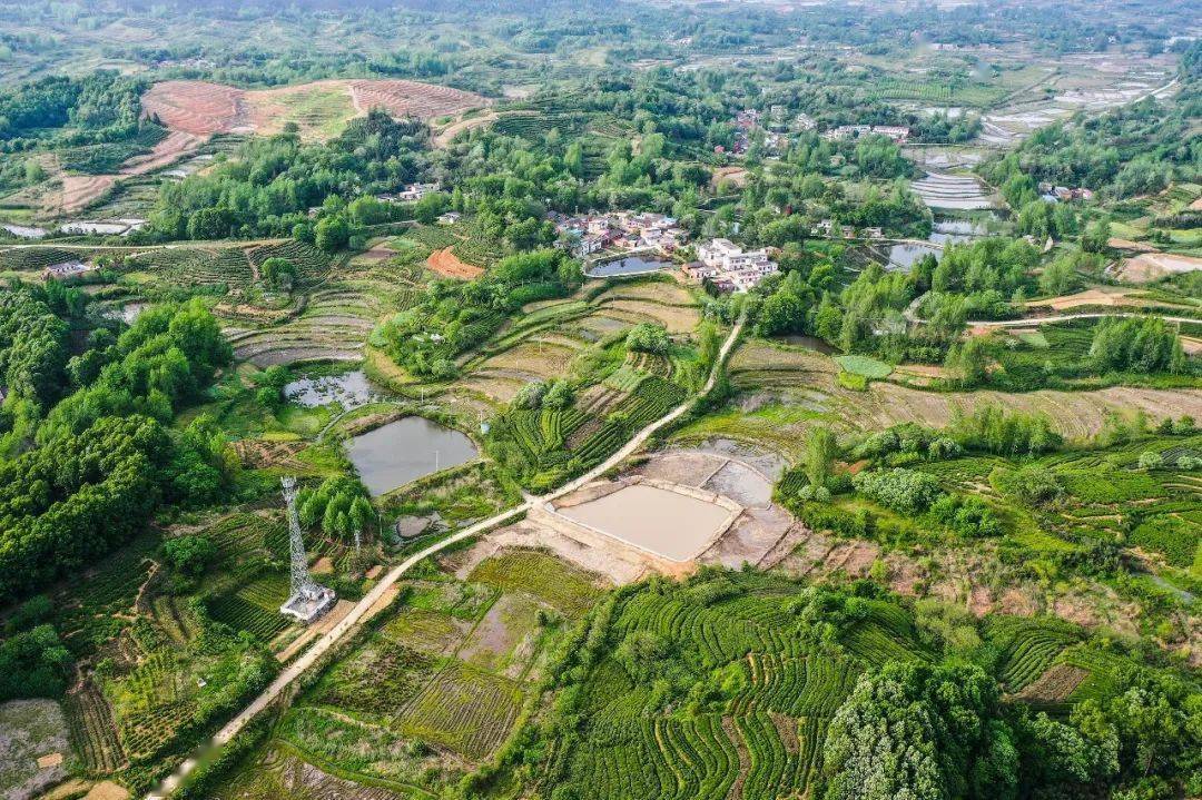 光山美好人居凉亭乡鄢脂洼村