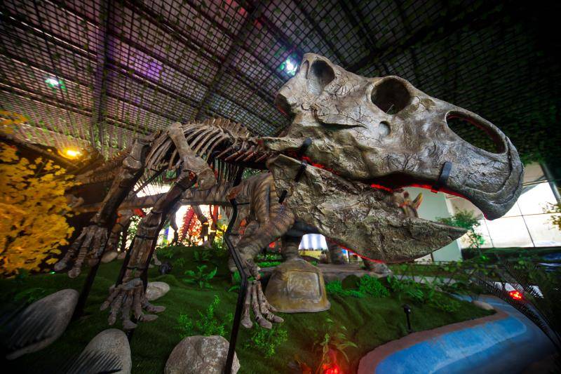 诸城恐龙之旅魅力绽放喜迎五一