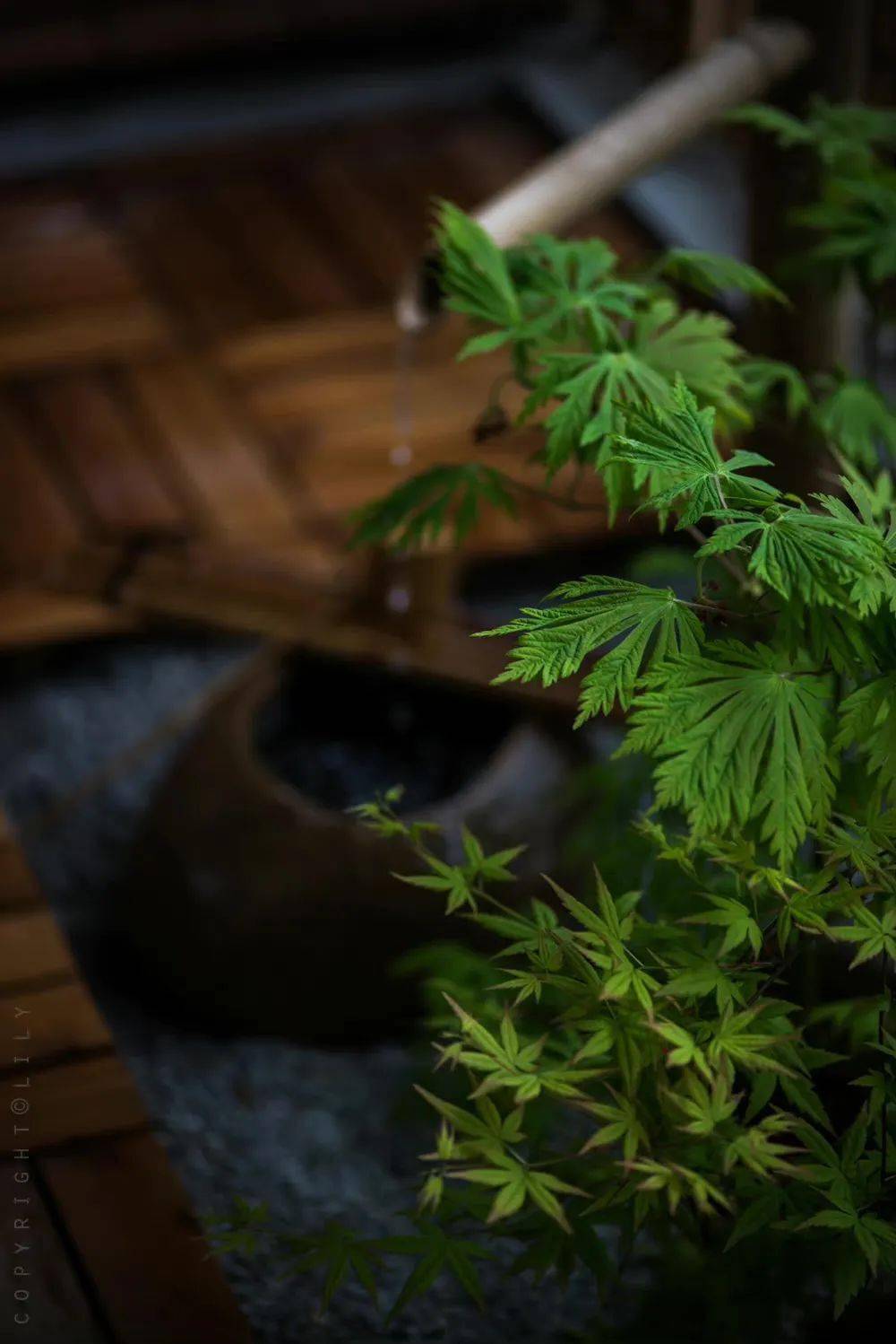 真正的境界在淡泊宁静之中