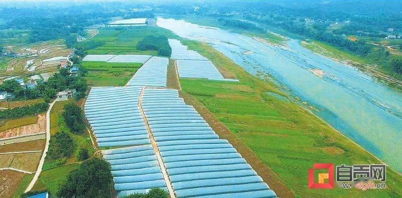 下好全面推进乡村振兴先手棋富顺县持续深化两项改革后半篇文章