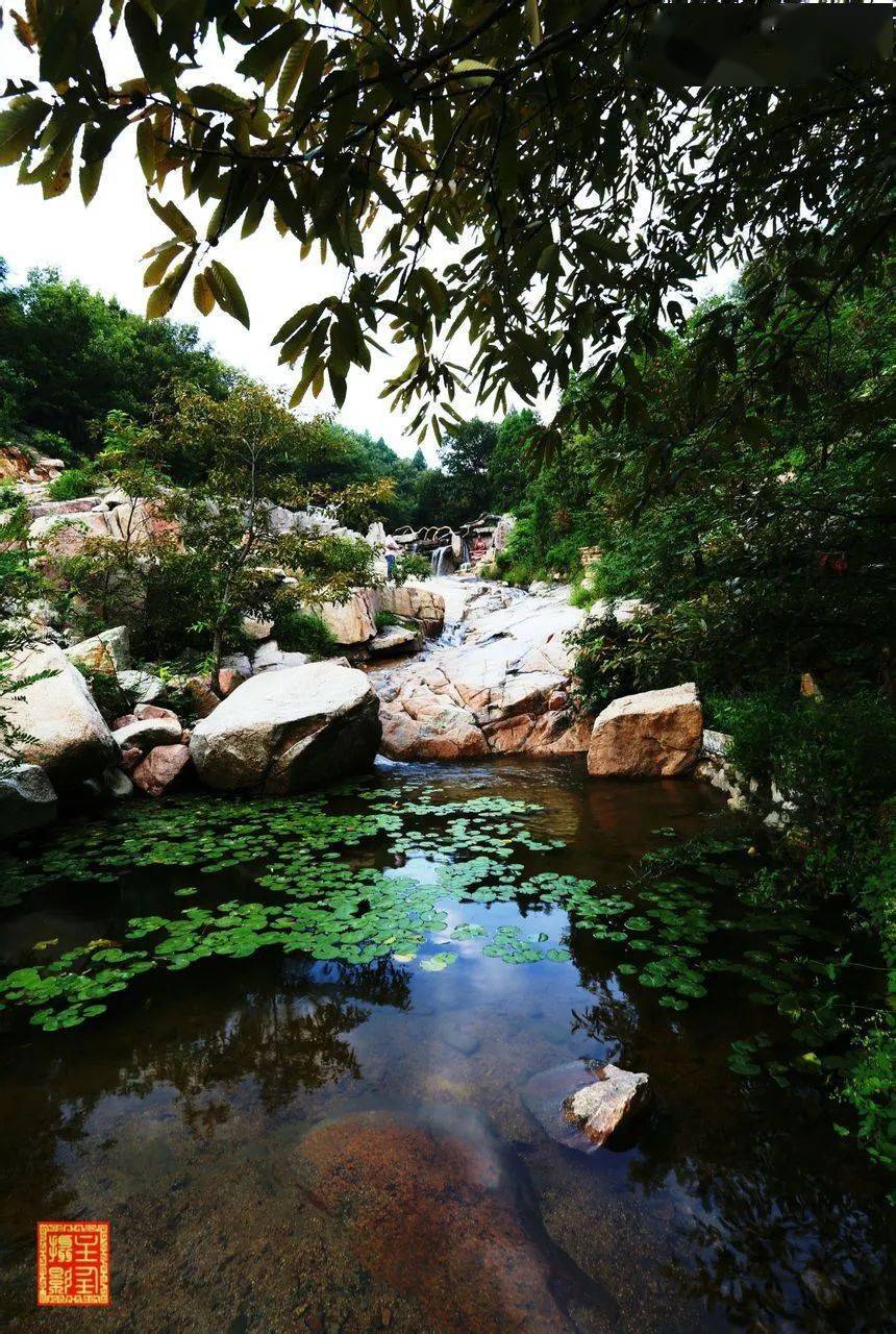 五一蓮青山將迎首個鹿島公園與大唐巡遊