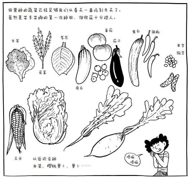 再到趕上秋收,第一次體會到豐收的快樂:已經逐漸熟悉田園生活,對種菜