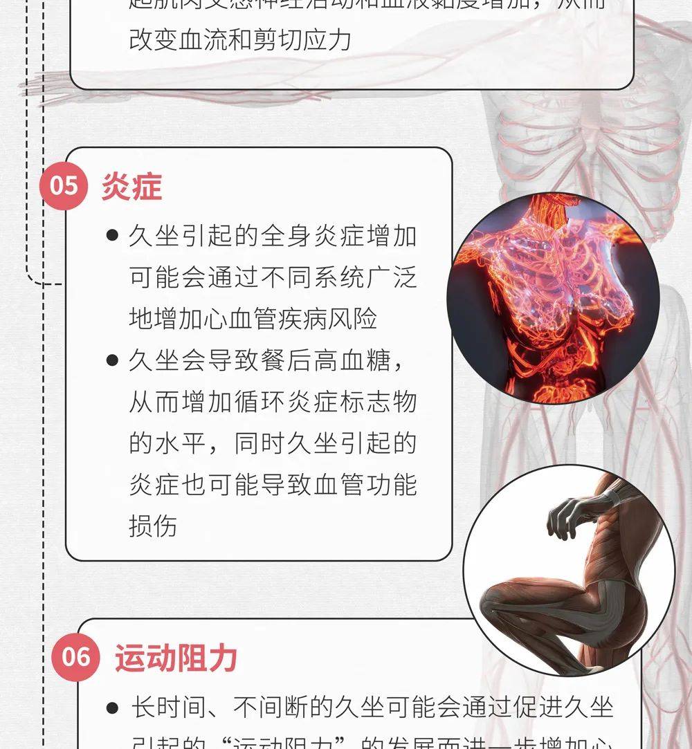 肠画短说:久坐,如何搞坏你的心血管