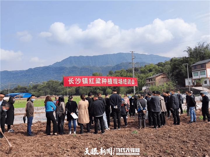 赤水长沙镇昔日撂荒地今朝变基地
