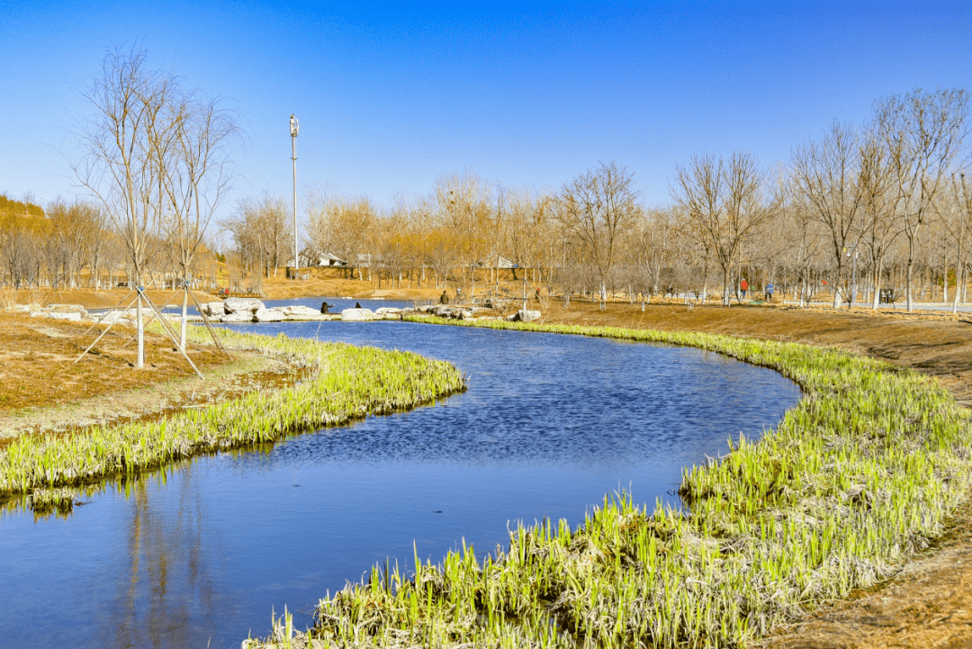 據介紹,南苑森林溼地公園規劃綠地及水域面積大約13665畝,大約相當於