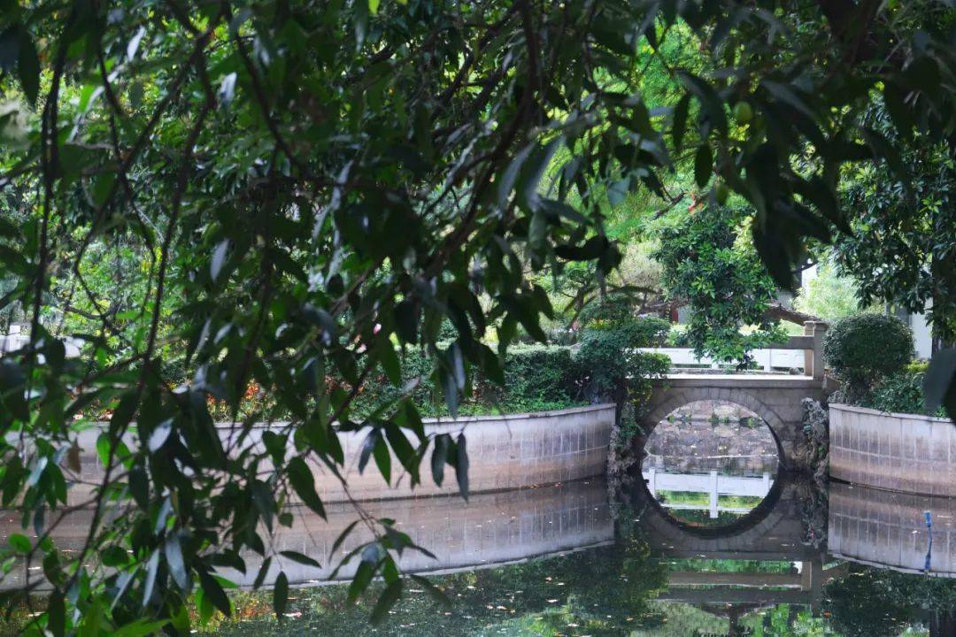 荔灣城記 | 醉觀公園一古橋,架起百餘載嶺南文學風流_松橋_有為_張維