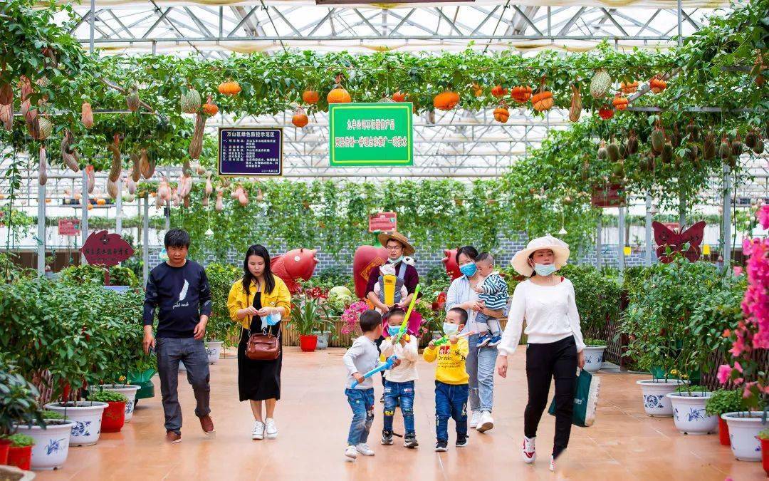 美好假期快来九丰农业博览园体验蔬果采摘乐趣吧