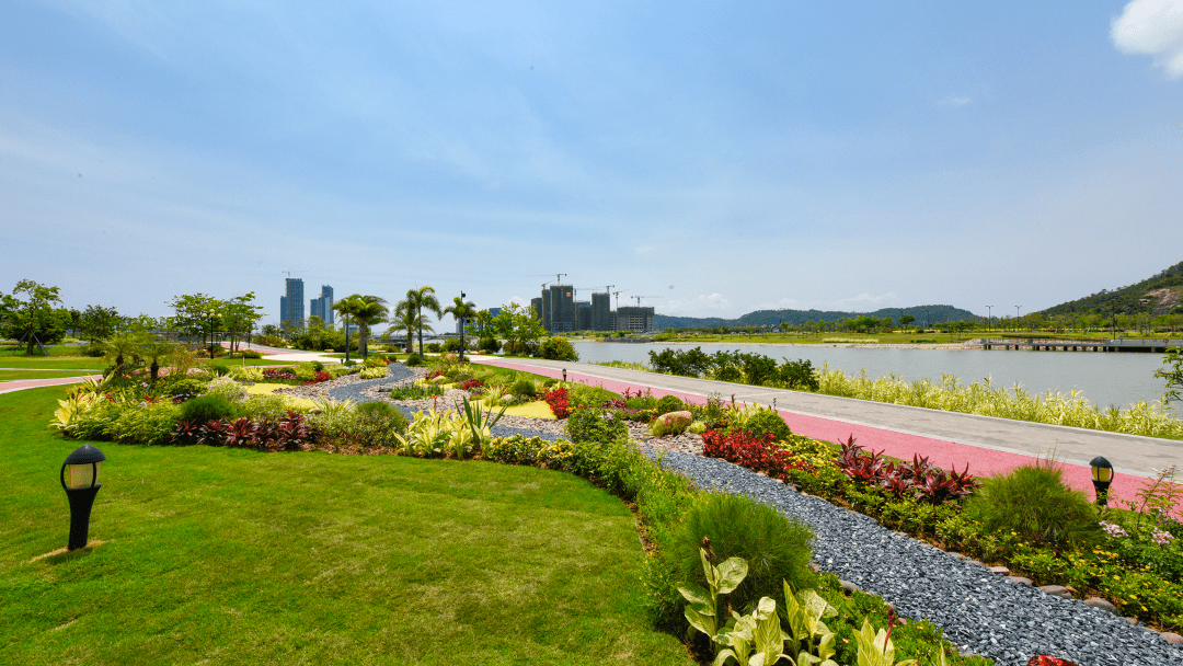 珠海全新公园建成!超美滨水景观,位置就在→_赛艇_横琴_图片