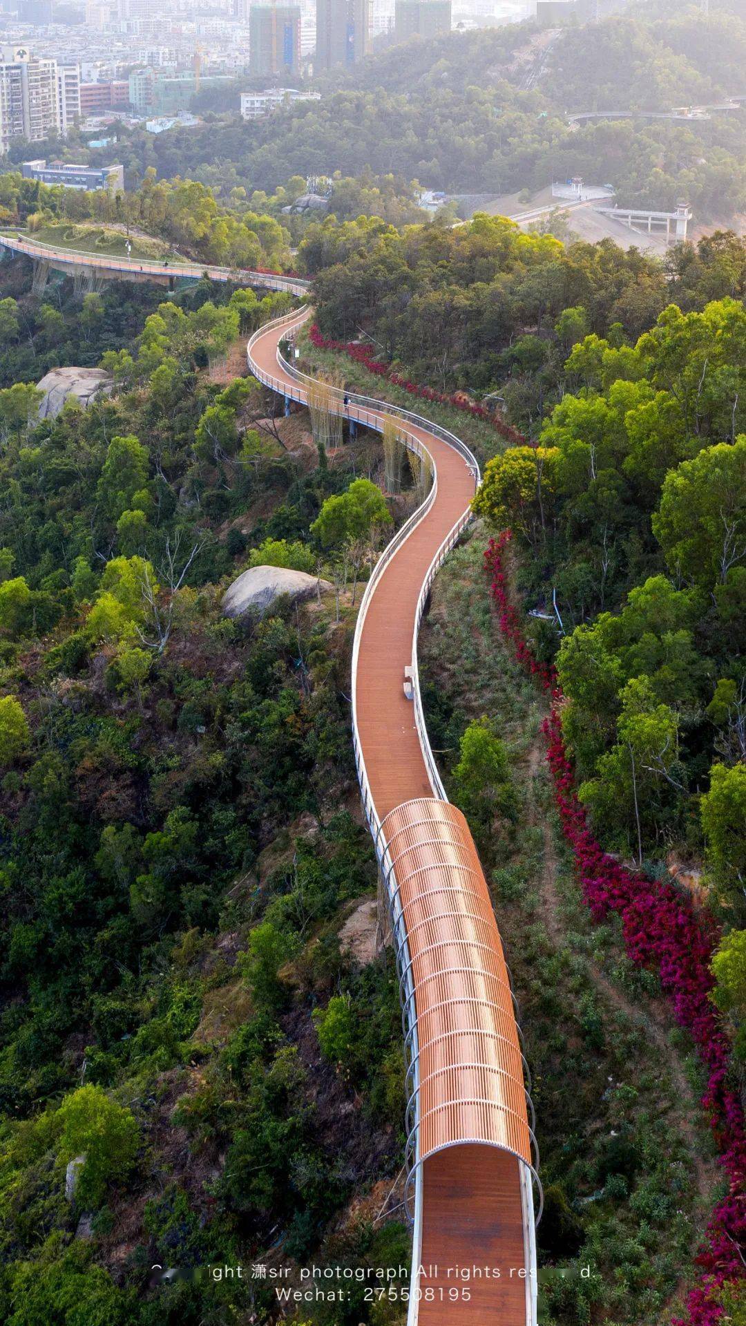 太突然珠海人童年坐观景索道的快乐又回来啦