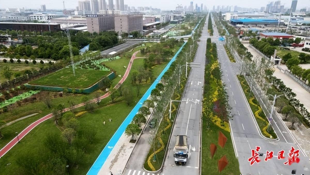 蔡甸常福大街成网红打卡地一年四季可赏花