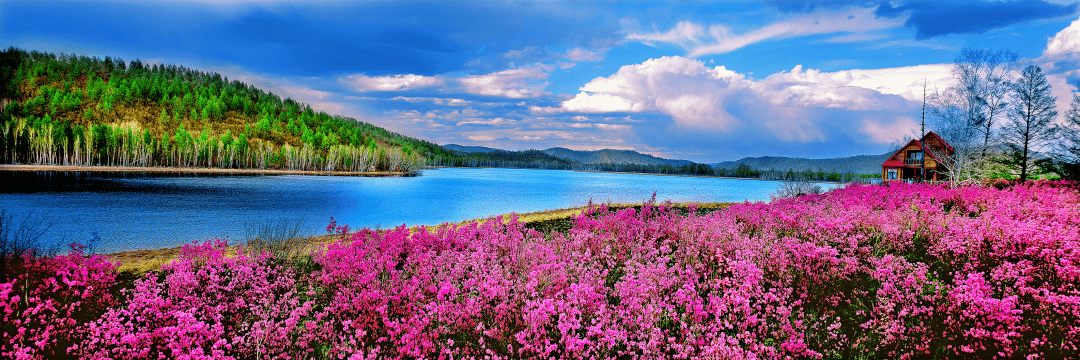 【这里是鄂伦春】之地理打卡篇——达尔滨湖国家森林公园_湖面_火山_