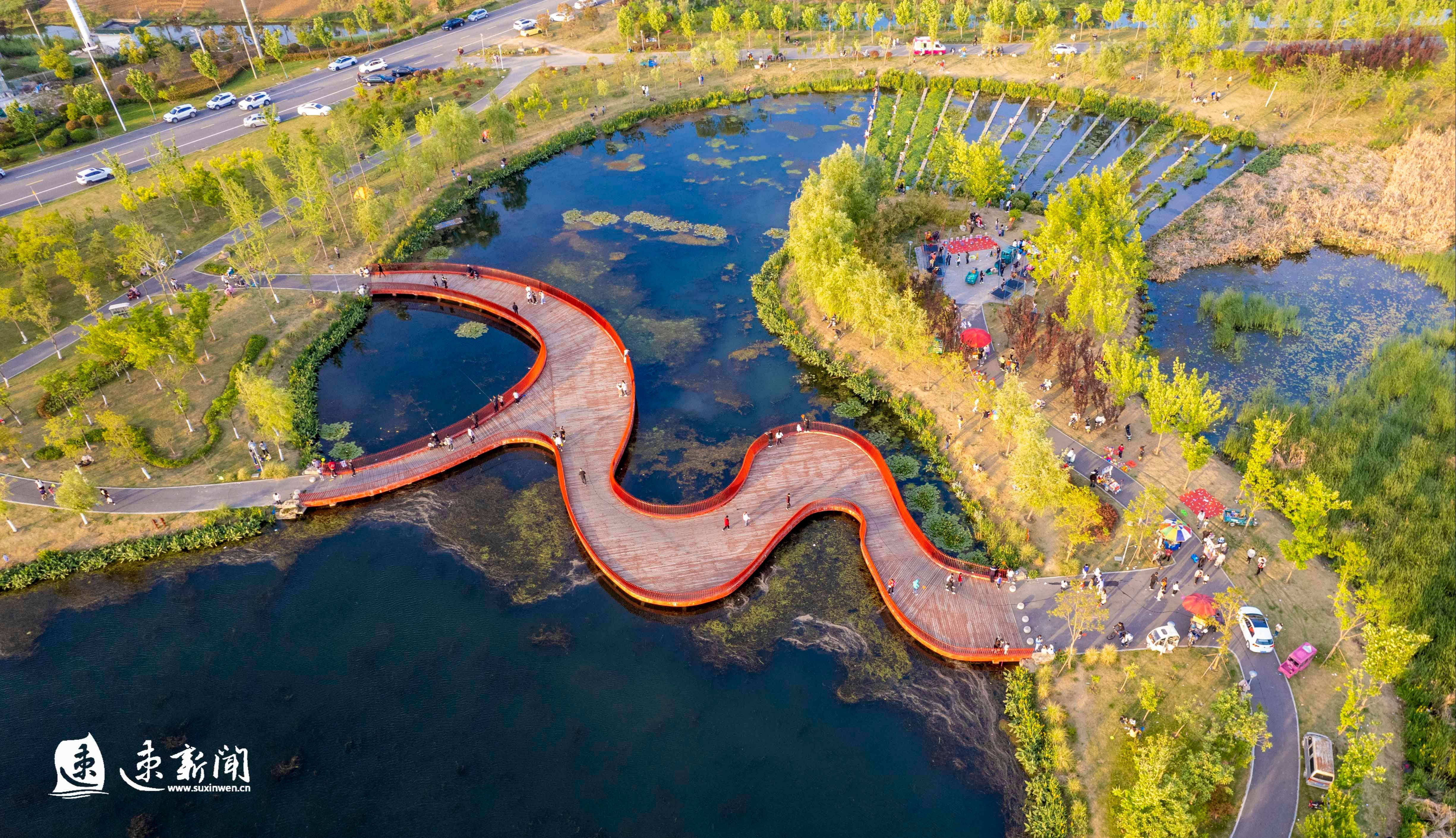 大湖湿地水韵泗洪图片