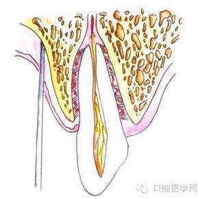 口腔頜面外科常用麻醉方法圖譜