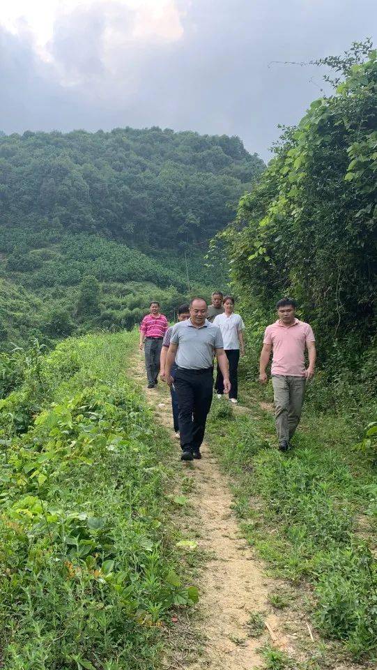 漳州平和山格首富图片