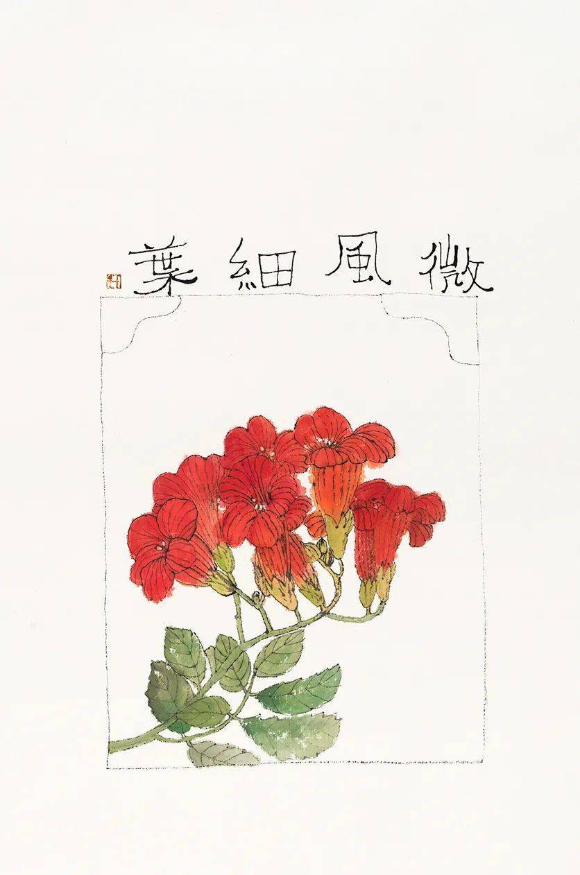 李知弥《夏虫杂忆》_生活_知了_蛤蟆