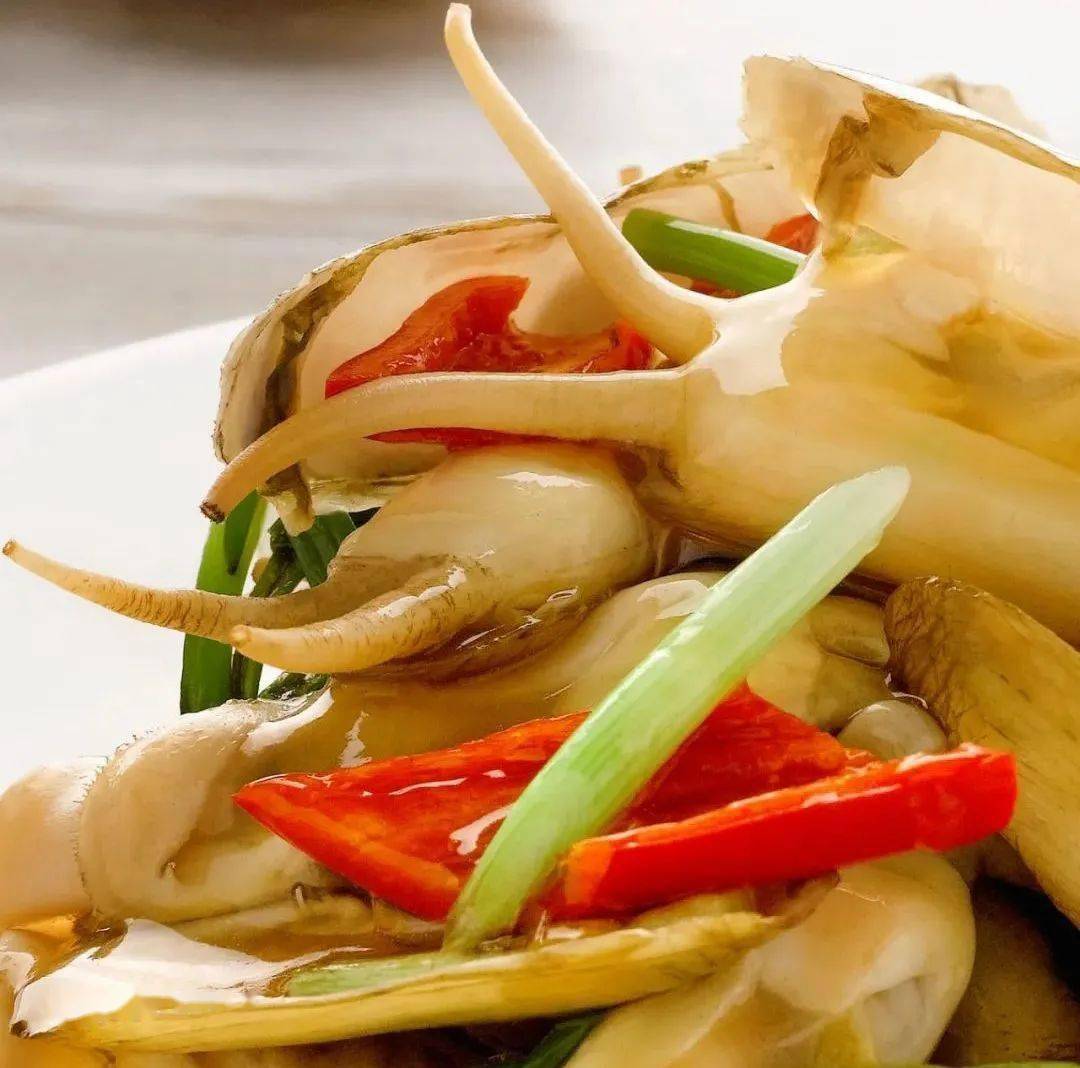 一起探秘舌尖上的莆田海鲜让味蕾穿越漫长的海岸线