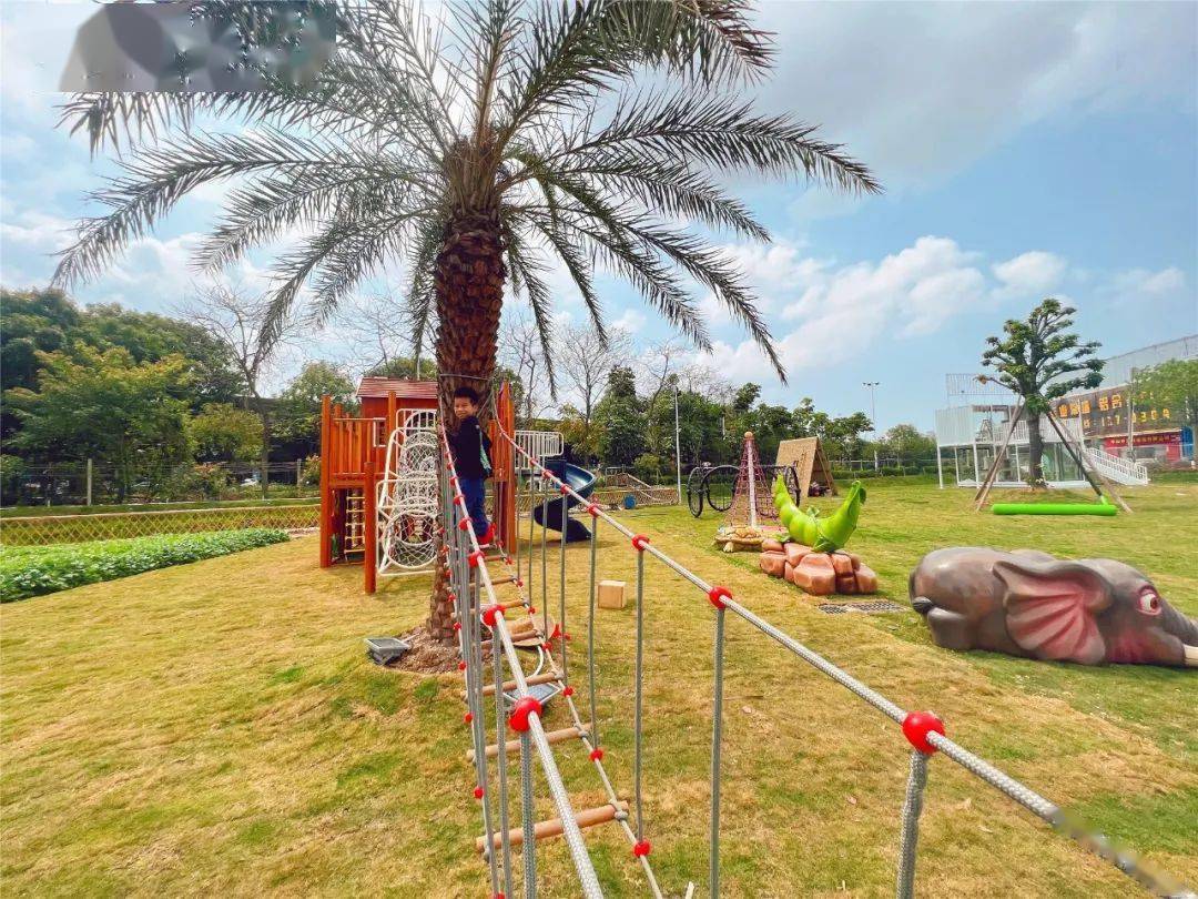 先给大家推荐中山一片可以放肆奔跑的旷野,景点内每个区域都是一个