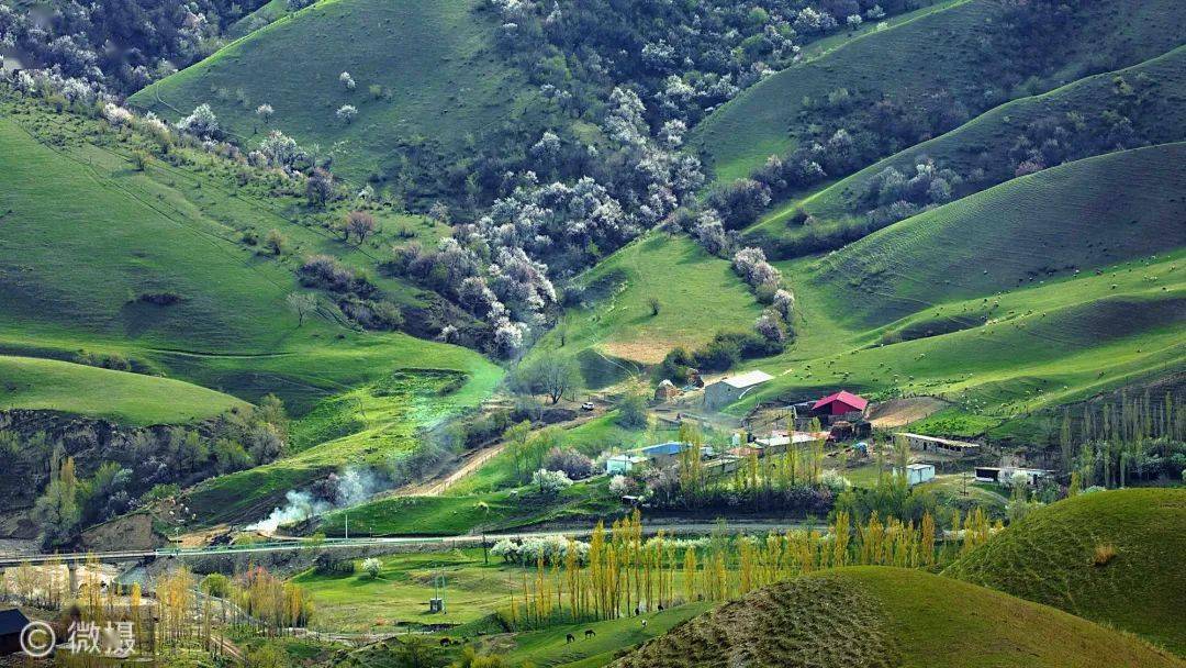 新疆伊犁大西沟:静观花开花落漫赏云卷云舒