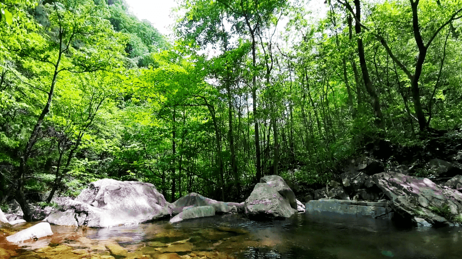 皖美潜山 每日一景:板仓自然保护区