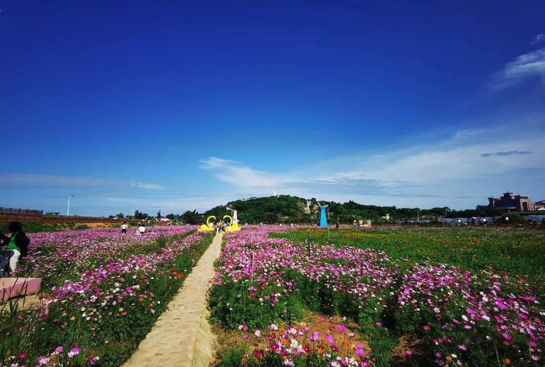 能美一个月长乐又一片花海来了走起