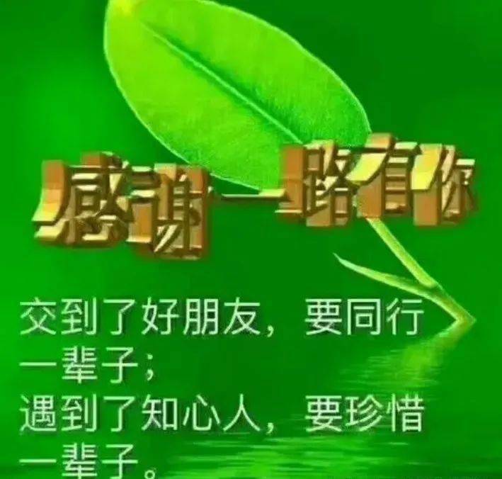 溫暖著彼此;銘刻在心靈深處有一種懂得,相依而珍惜;始終不離也不棄有