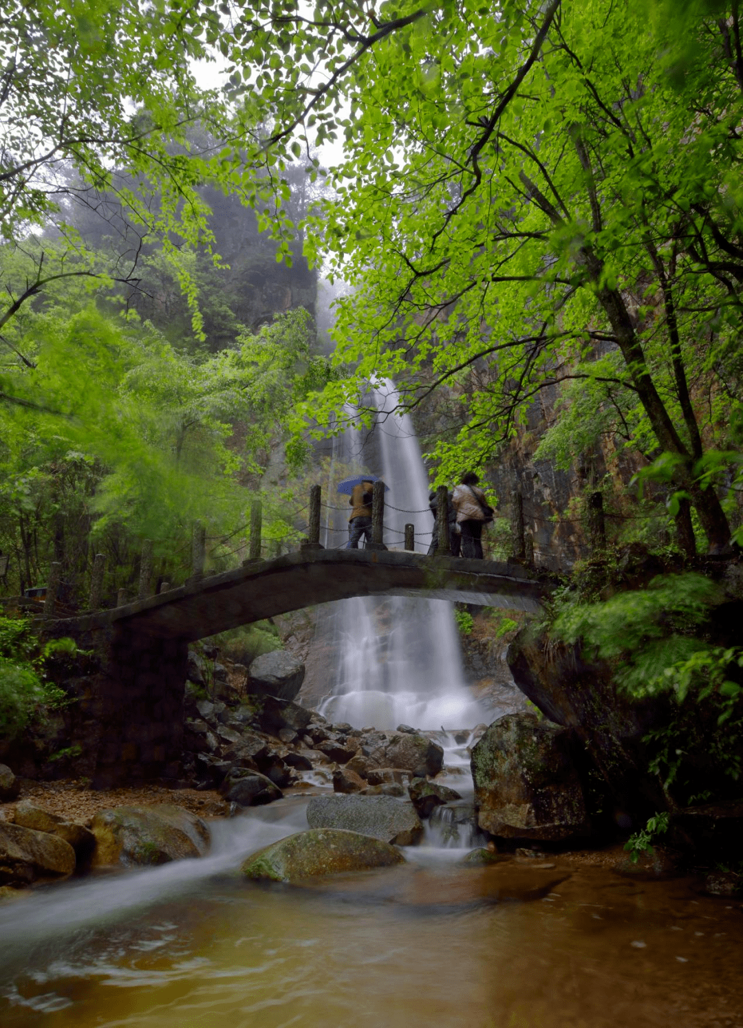 皖美潜山 每日一景:板仓自然保护区