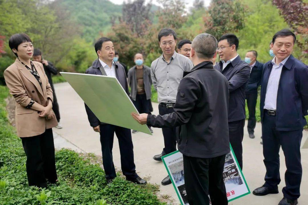 王孝成深入部分县督查环境保护法执法检查情况