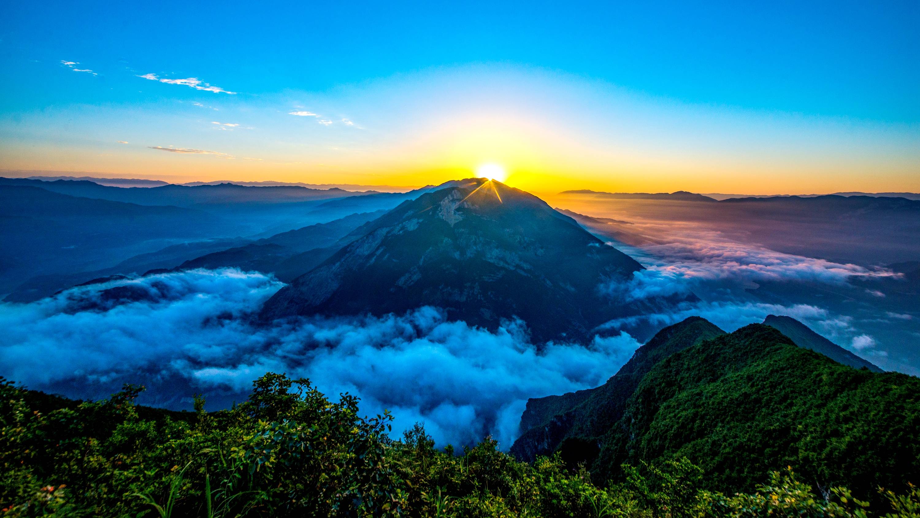 奉节:高质量发展擘画美丽"新图鉴"_产业_脐橙_建设