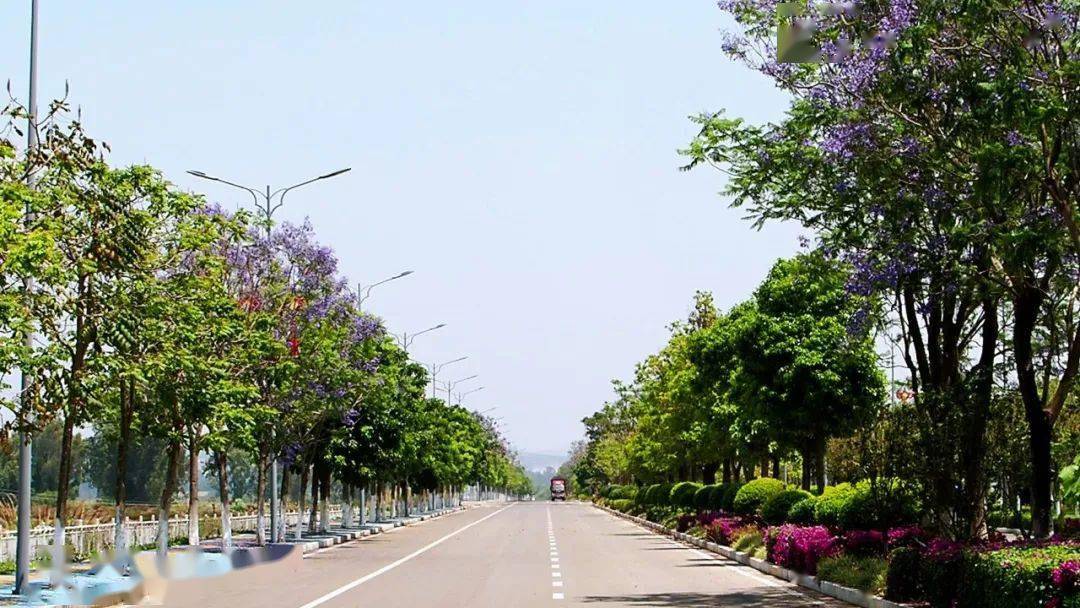 初夏,个旧大屯予你一场浪漫相遇,一段慢时光_大屯街道_花海_绿荫