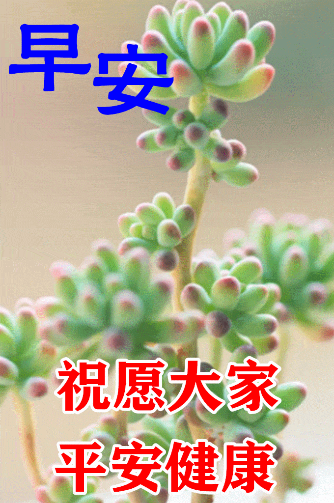 最漂亮早上好动态表情图片大全早晨好动图美图大全