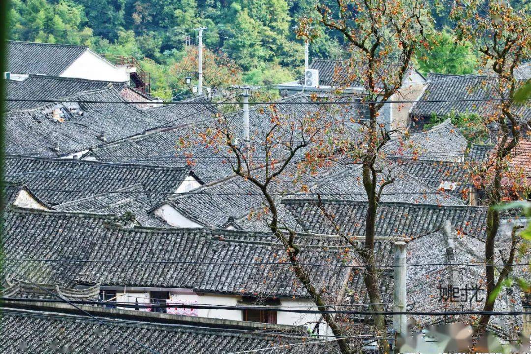 明确了余姚这个传统村庄将有大变化