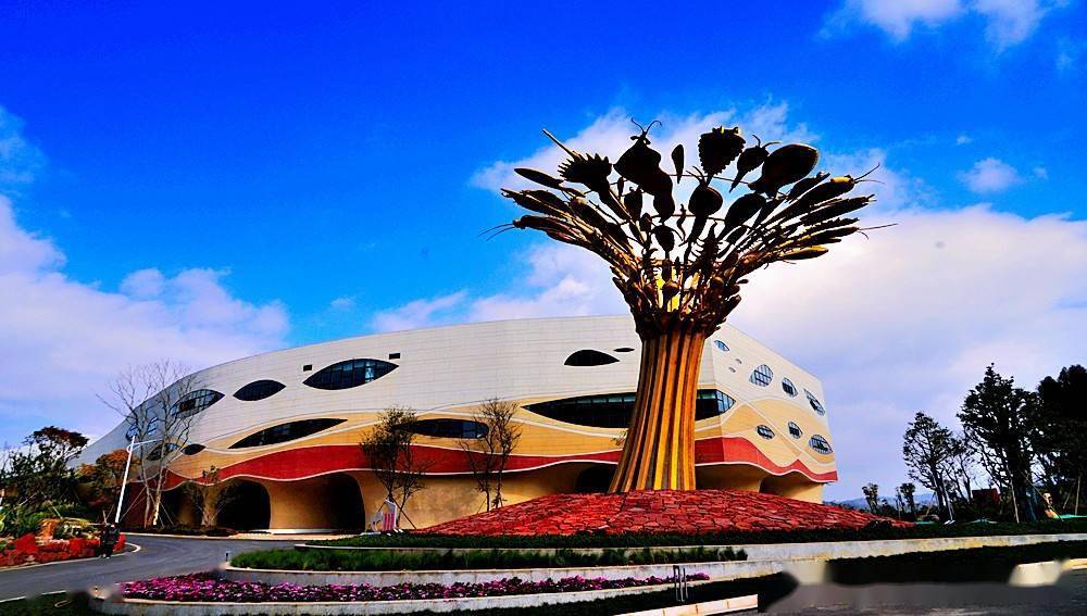 云南抚仙湖畔帽天山寒武纪生命大爆发之地