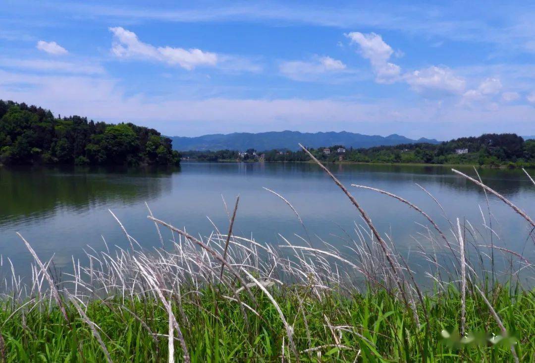 【龙湾】诗和远方都在家门口_公园_湿地_新化